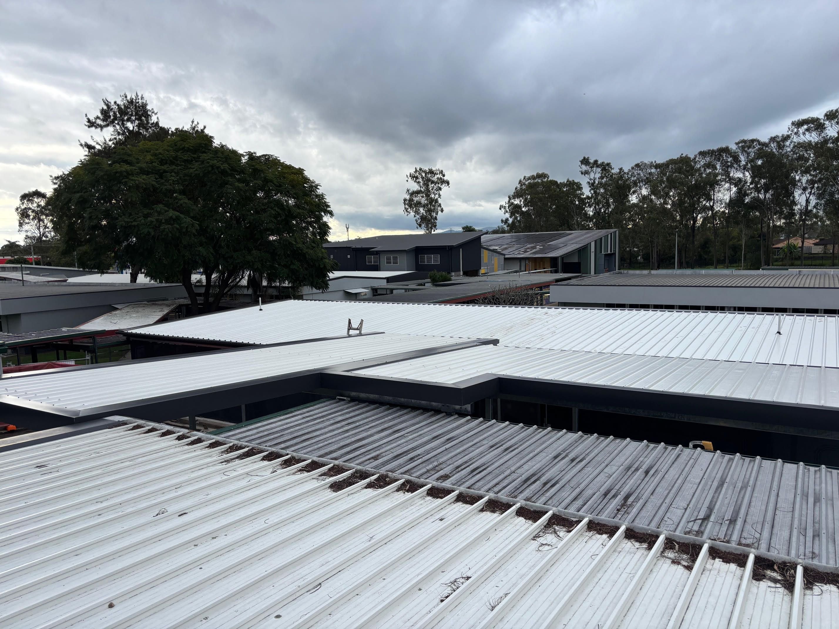 Kruger State School Image -683540007f48b